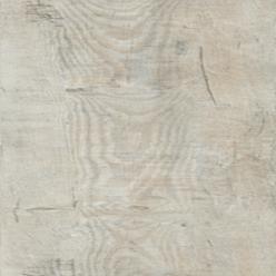 AFFINITY 255 PUR 9871 CRACKED WHITE OAK